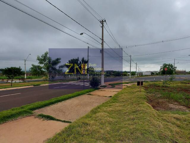 #1200 - Terreno para Venda em Ribeirão Preto - SP - 3