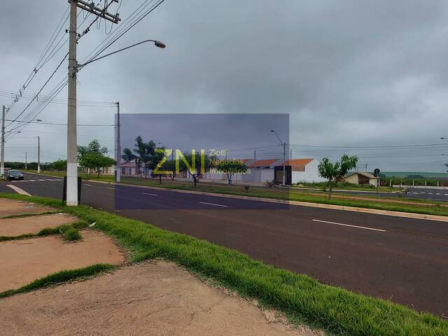 #1310 - Terreno para Venda em Ribeirão Preto - SP