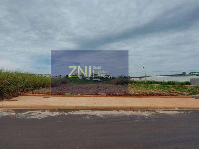 Venda em Reserva Macaúba - Ribeirão Preto