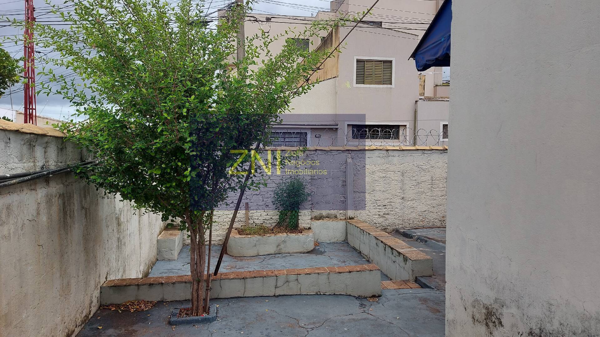 Casa, 3 quartos, 280 m² - Foto 24