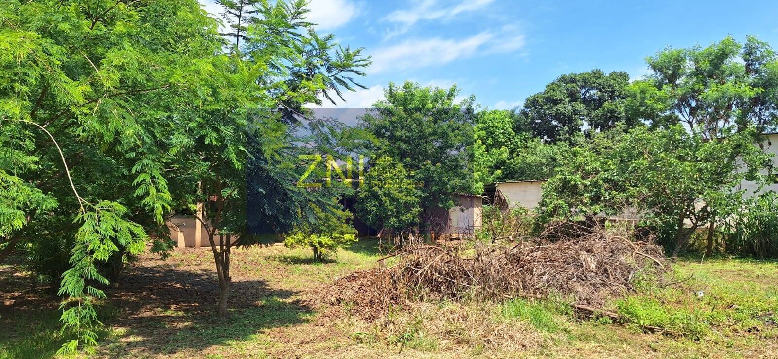Sítio, 5 quartos, 4068 m² - Foto 27