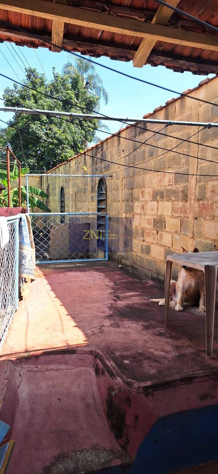 Sítio, 5 quartos, 4068 m² - Foto 34