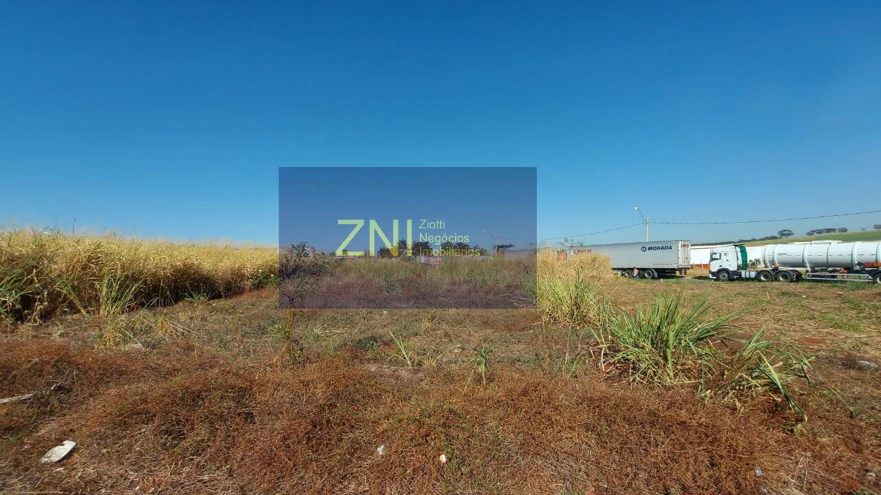 Terreno, 499 m² - Foto 3