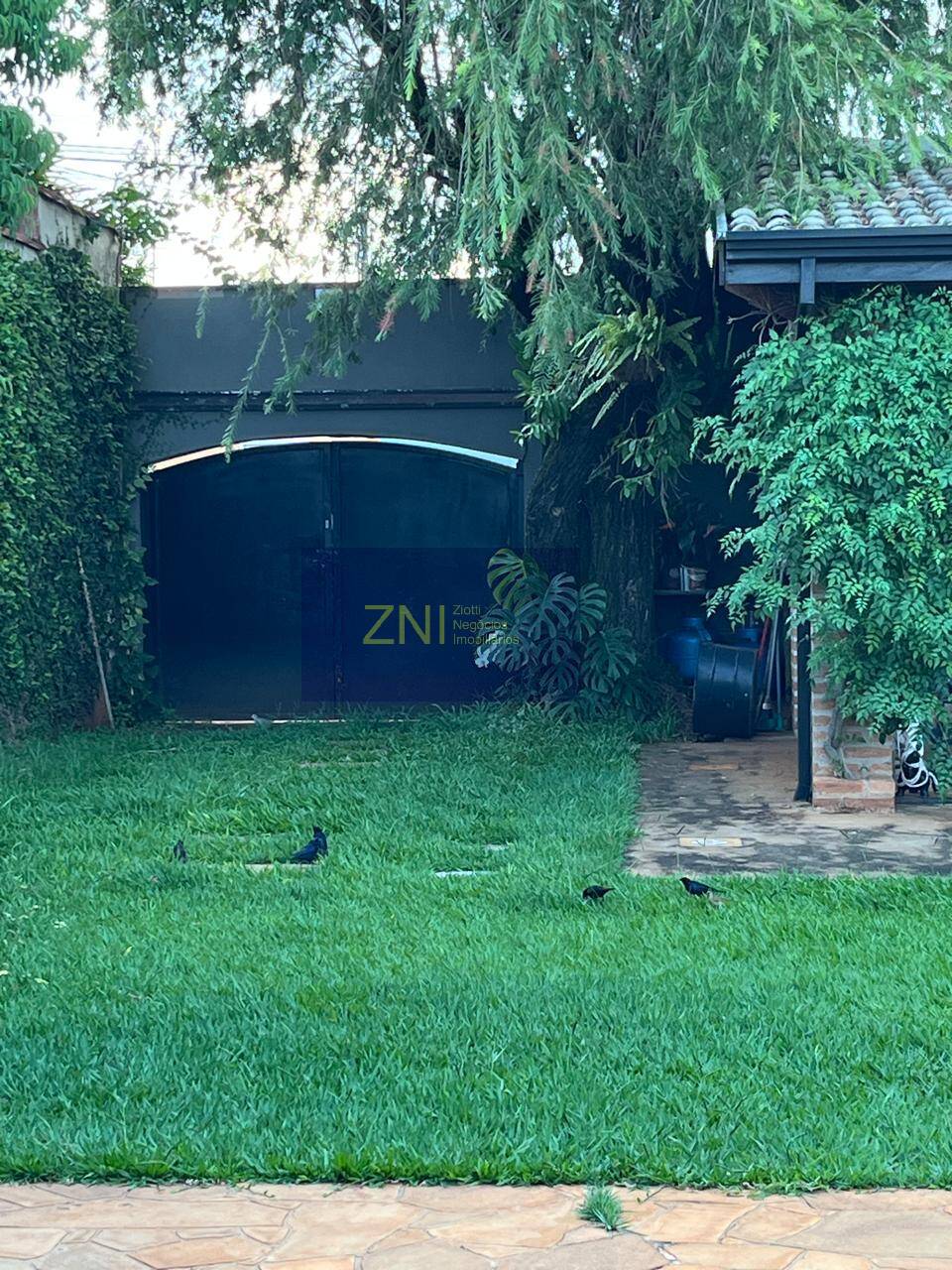 Casa, 3 quartos, 840 m² - Foto 38