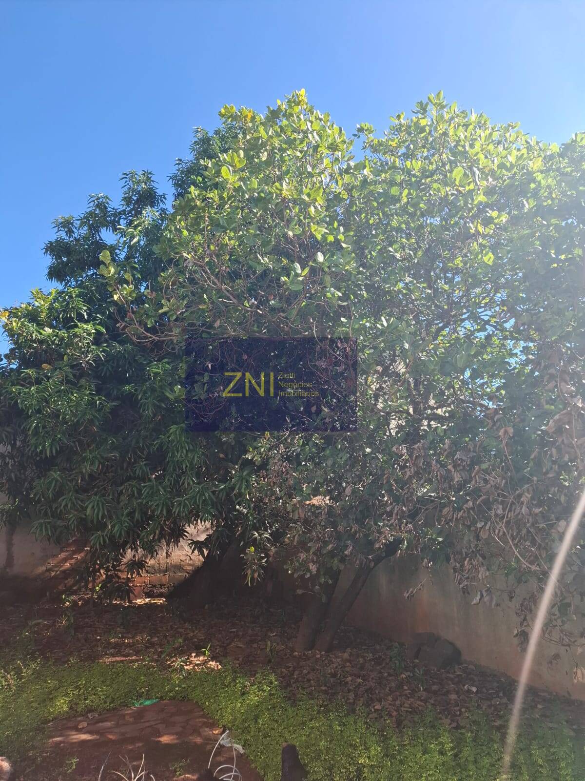 Casa, 3 quartos, 174 m² - Foto 19